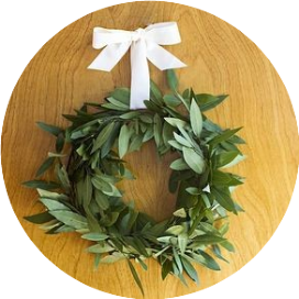 一根俊俏的橄榄叶