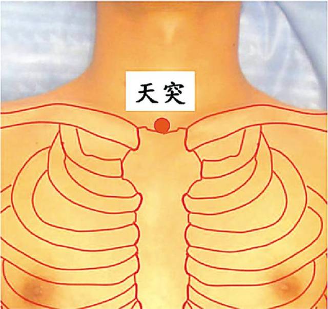 分推胸阳阳又称分推"胸八道"