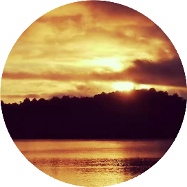 流年似水 海棠依旧