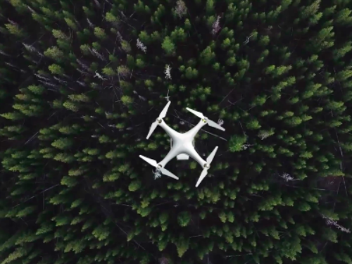 “丁真的世界”有规矩，这点不注意，直接进警局!