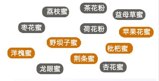蓝莓酱吃多了会胖么_沙拉酱吃了会长胖吗_千岛酱沙拉