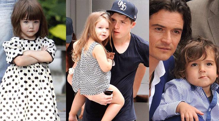 红人馆 | 悄然长大的小苏瑞小开花贝小七，现在都怎么样了？ ... ...