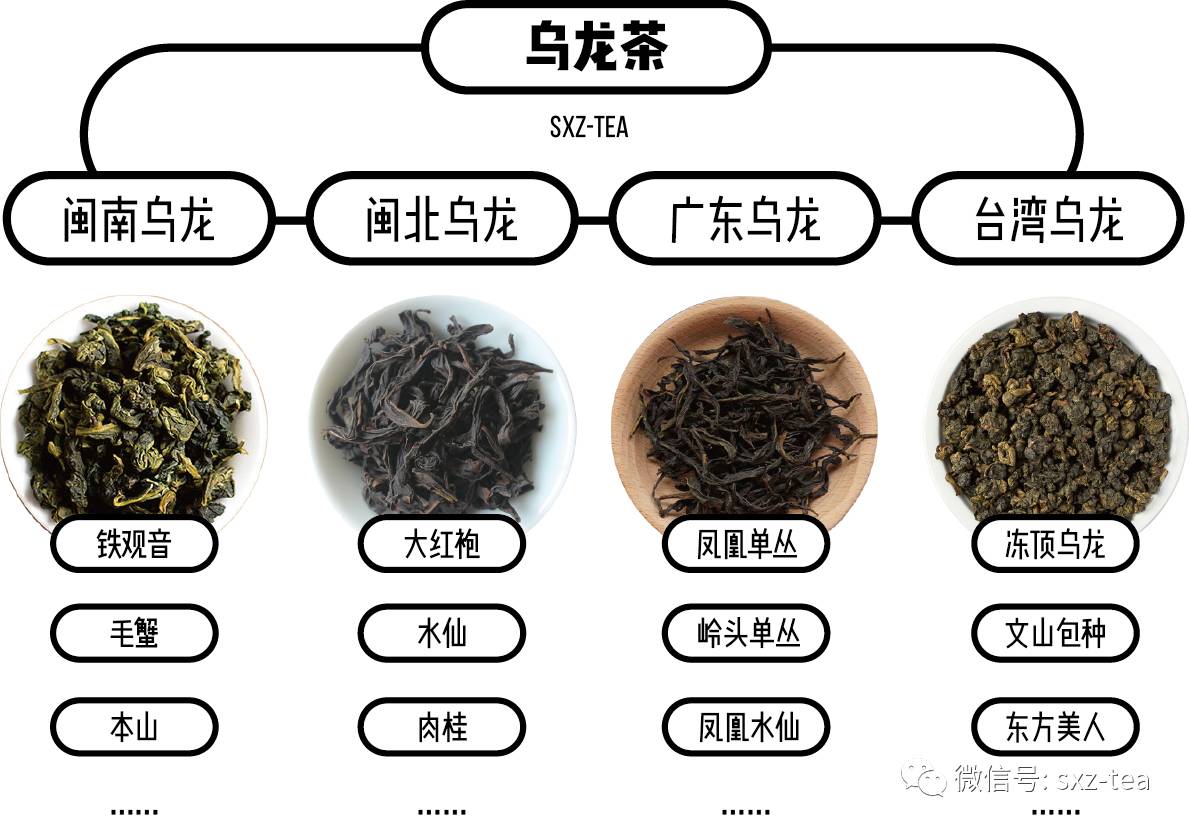 在六大茶类中, 铁观音属于乌龙茶类,是闽南乌龙的代表.