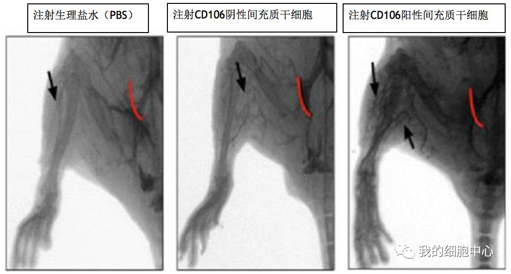 河北首道医药科技有限公司