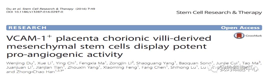 河北首道医药科技有限公司