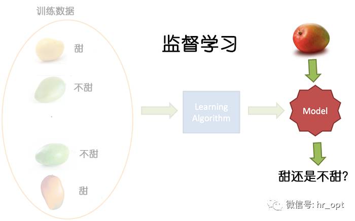 监督学习(supervised learning)