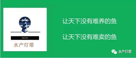 小瓜虫_小梨瓜的子_吃瓜就吃瓜吧是什么瓜