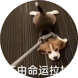 坏酷儿厨房bad queer cook