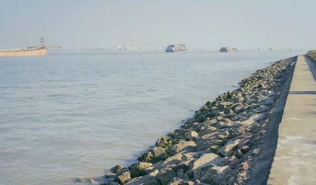 海鸥岛