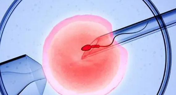 海外冻卵是不是相当于上了生育保险？一篇讲清真相