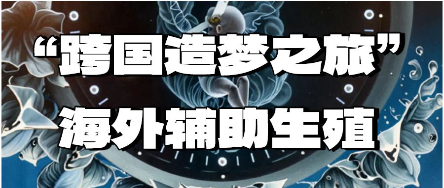 跨国造梦之旅：海外辅助生殖，一场温柔而严谨的生命迁徙