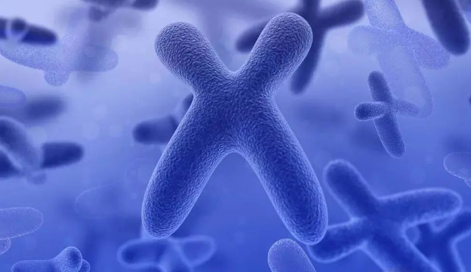 闺蜜试管一次成，我却屡试屡败？答案在这里