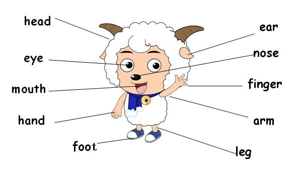 小学阶段英语单词分类学习大全 好学易记