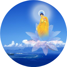 作者头像