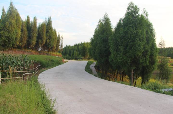 村里土路变成水泥路