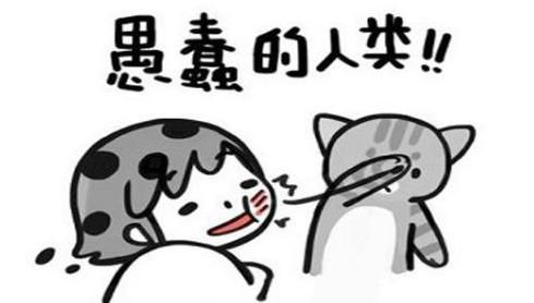 打脸"啪啪啪"的响.