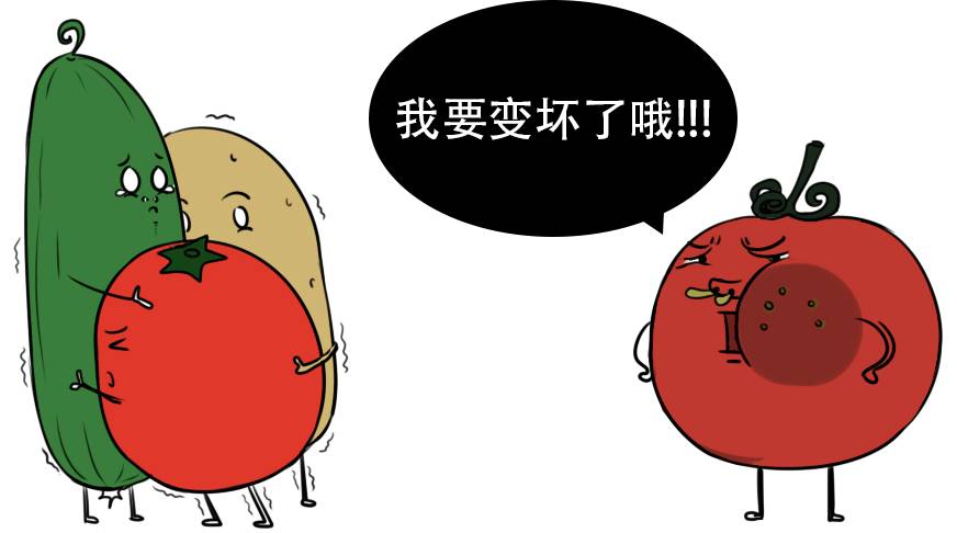 哪些必须扔?
