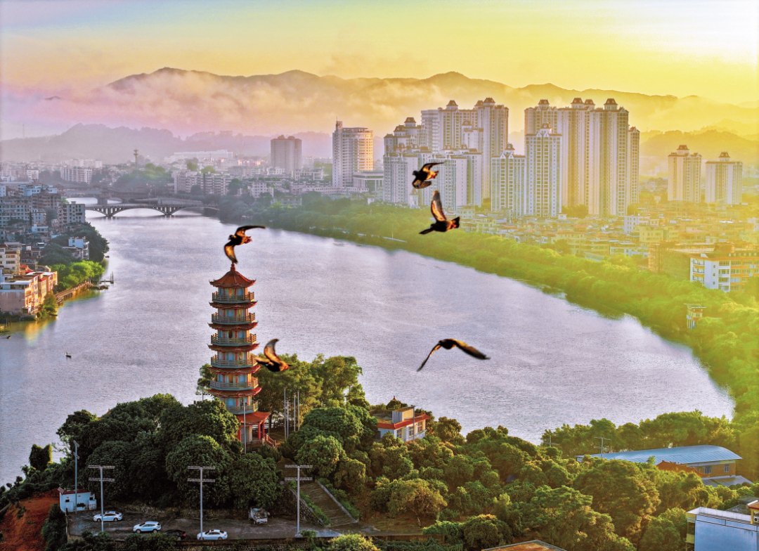 凤雀共舞  陈力维.PNG