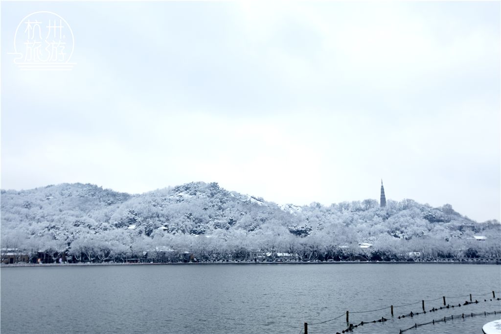 杭州被积雪10公分!美到窒息!(实拍雪景图奉上!