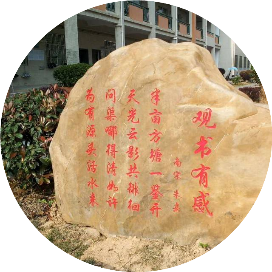 水源小虎坑脐橙果园