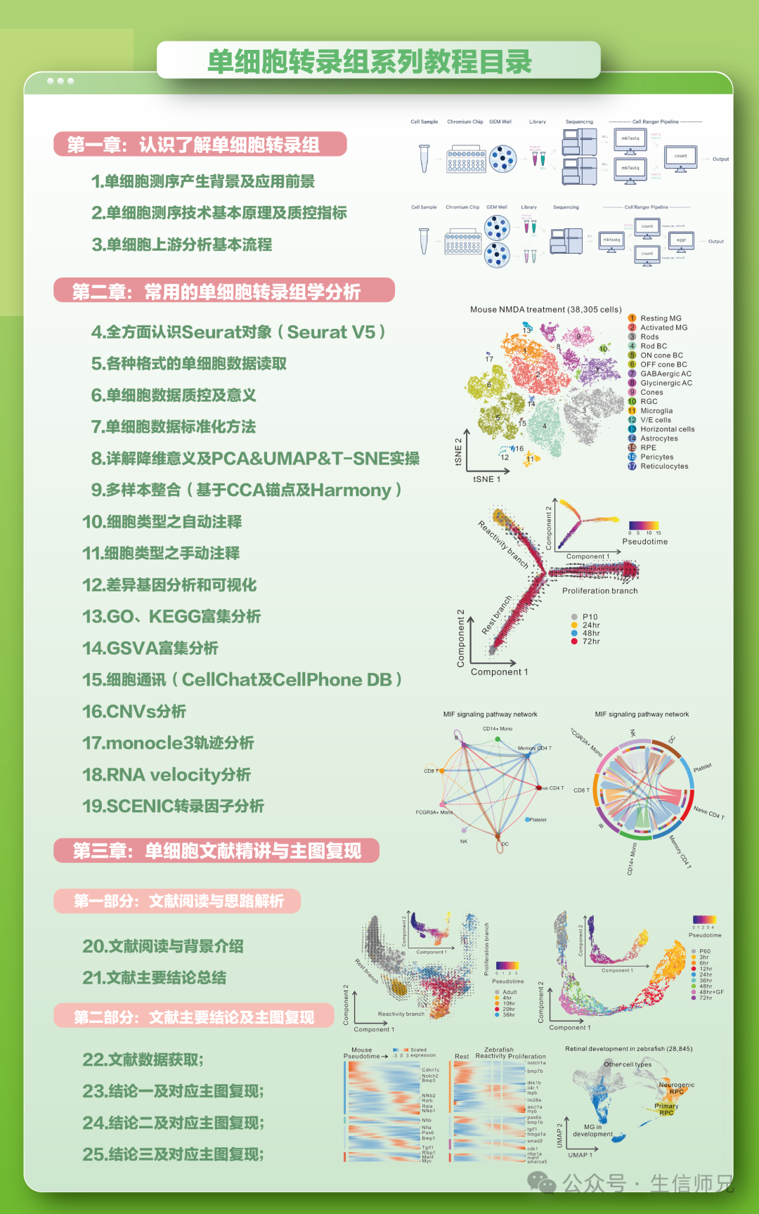 单细胞转录组系列教程目录