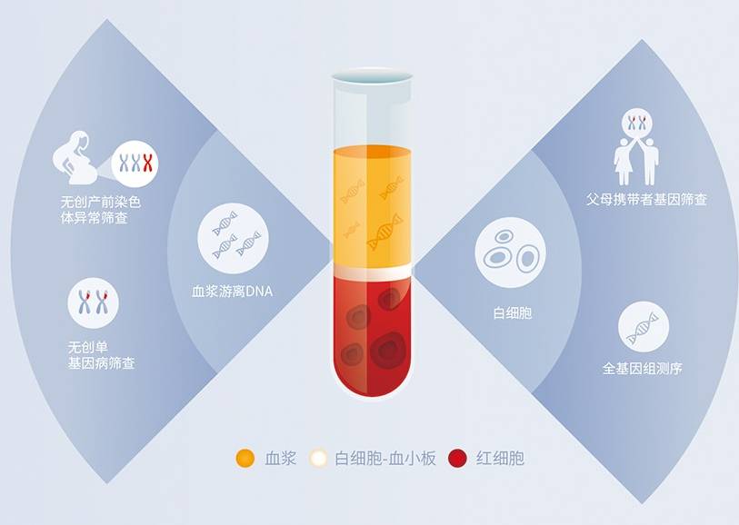 隐藏在你血液里面的秘密