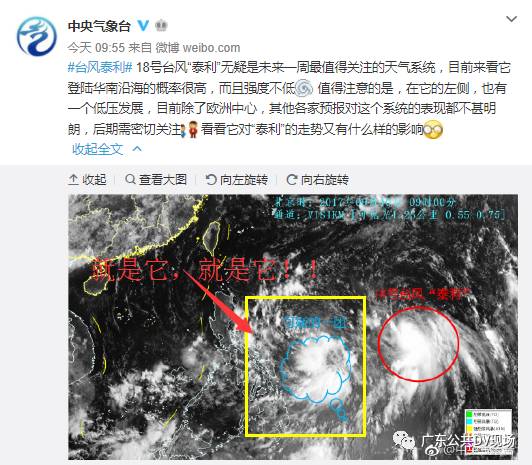 台风“泰利”已于昨晚生成 或超越“天鸽”成为风王