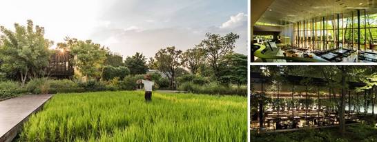 2018，“一港三湖”的双流，光耀成都之南！