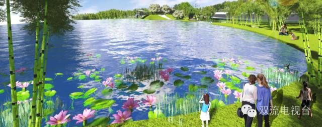 2018，“一港三湖”的双流，光耀成都之南！
