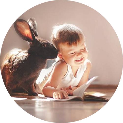 谢娜新造型,从结婚到怀孕竟都选择同一个发型!小半个娱乐圈都爱短发了