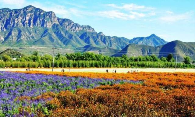 北京富裕村排名_北京最富裕的三个区_富裕社区属于哪个街道