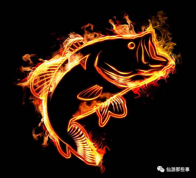 现杀现做,炫酷的做法.刷新你的见闻,边看边流口水!