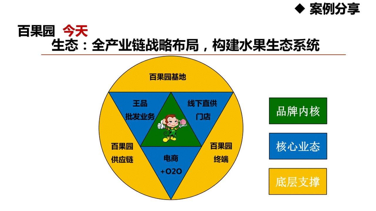 全产业链的战略布局