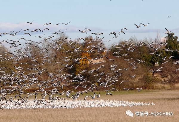 世界最美学游，你愿意与她邂逅吗？！