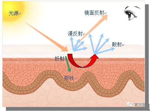 如何讓我遇見你，在我最美麗的時刻 戲劇 第5張