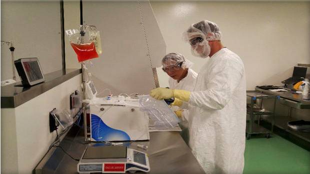 白血病基因改造疗法将上市 女孩治疗后6年未复发