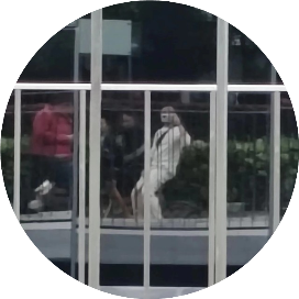 两个人也不错