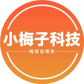 小梅子科技