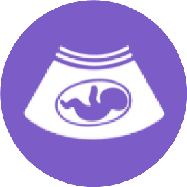 丁香园超声时间