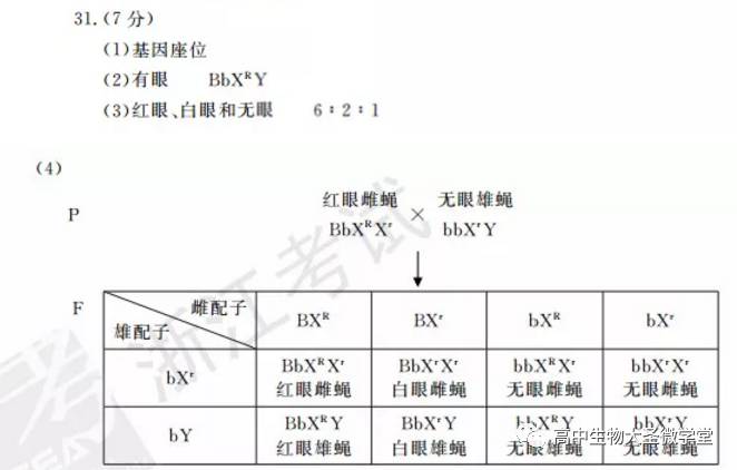 (4)用测交方法鉴定f2双杂合红眼雌果蝇基因型,用遗传图解表示