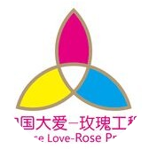 玫瑰工程