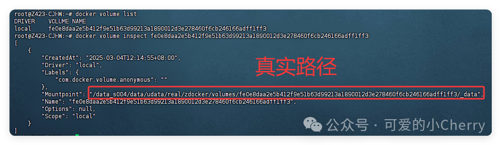 QQ_1741068274497.png