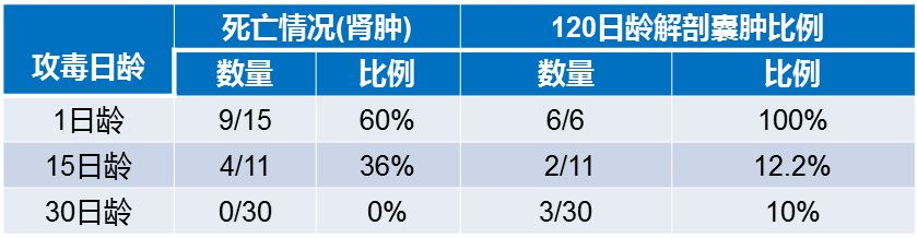 鸡传支预防有重点