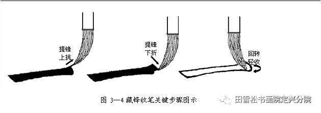 3,藏锋,中锋和侧锋,藏锋是指起笔时将笔锋藏在笔画之中;中锋是指笔峰