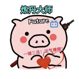 AI算法工程师Future