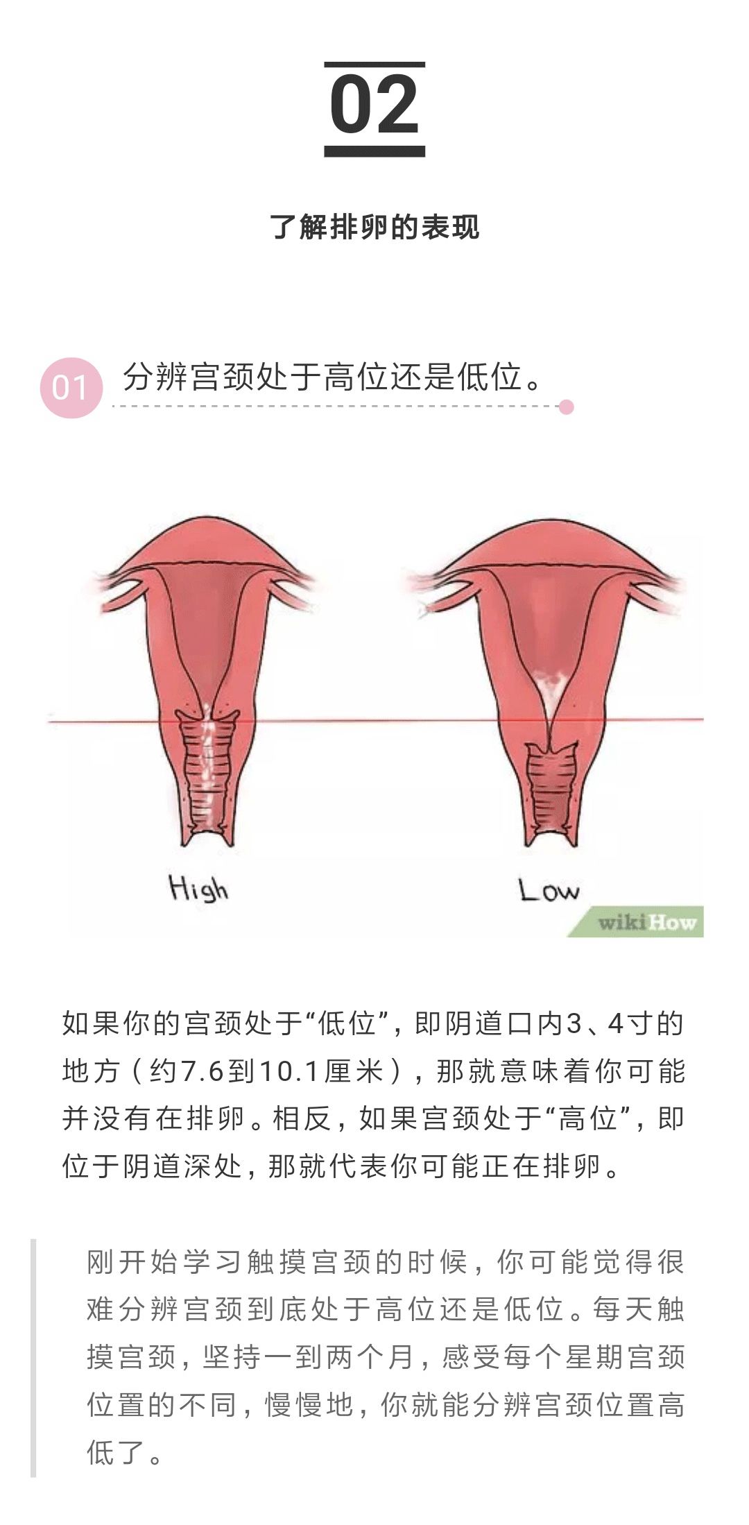 如何触摸宫颈?