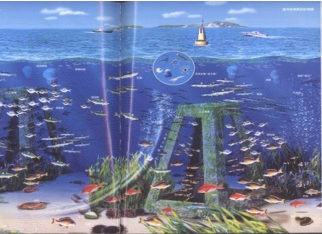 把整个水池变成一个 由声光电系统营造出的海洋牧场场景 将海洋生物