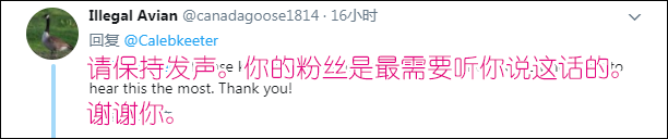 “直到昨晚，我才知道支持宪法第二修正案错得多离谱”