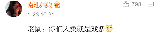 老鼠被五花大绑挂悔过书 而且它还是一支文盲鼠