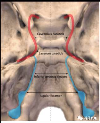 内镜下经鼻斜坡入路至脑干腹侧的解剖学研究